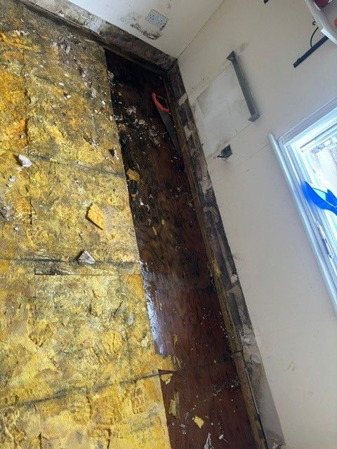 Subfloor Repairs & Engineered Flooring Installation